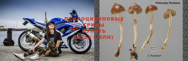 круглые Балабаново