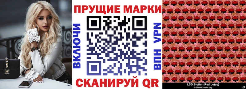 Купить где Строитель Марки N-bome 1,8мг