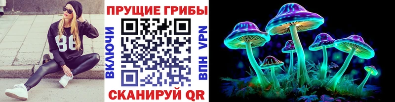 Купить закладки  Строитель  Галлюциногенные грибы Psilocybine cubensis 